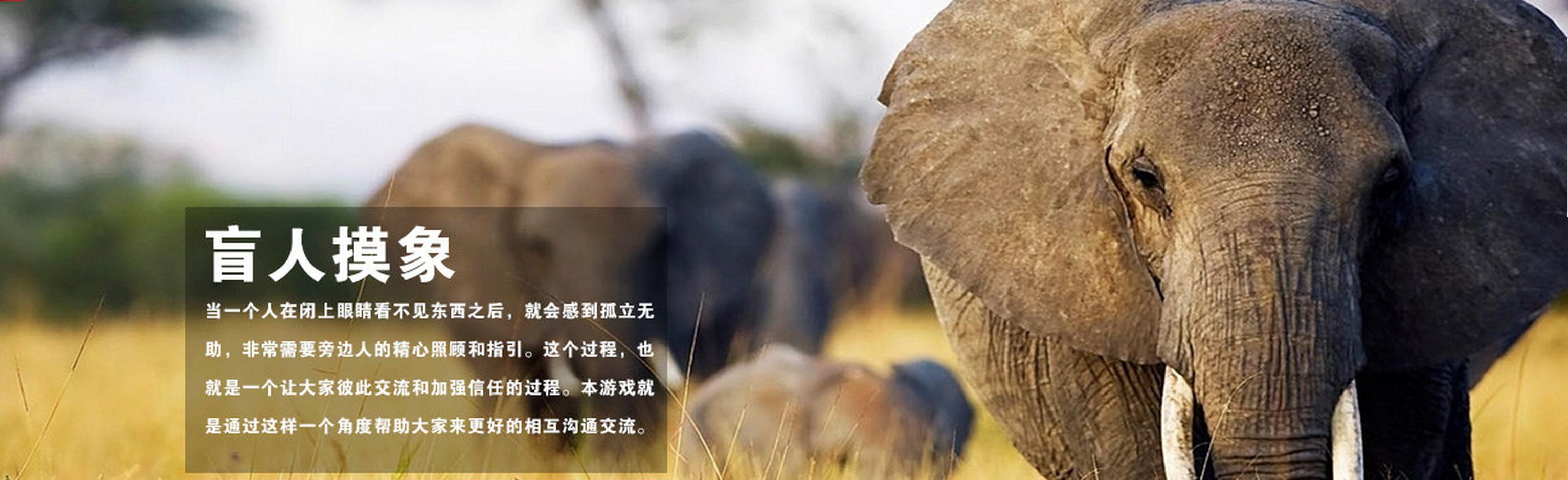 盲人摸象团队建设课程(图1) 盲人摸象团队建设课程(图1)