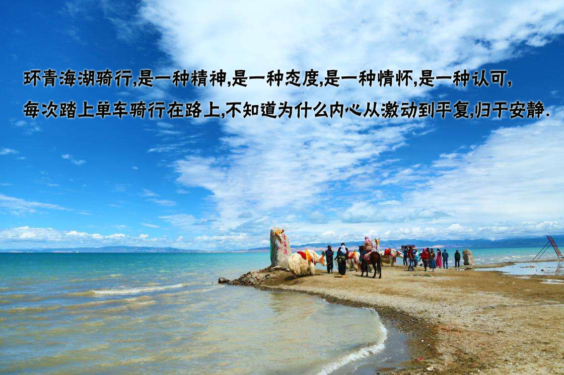 旅行团建青海湖骑行体验路线(图2) 旅行团建青海湖骑行体验路线(图2)