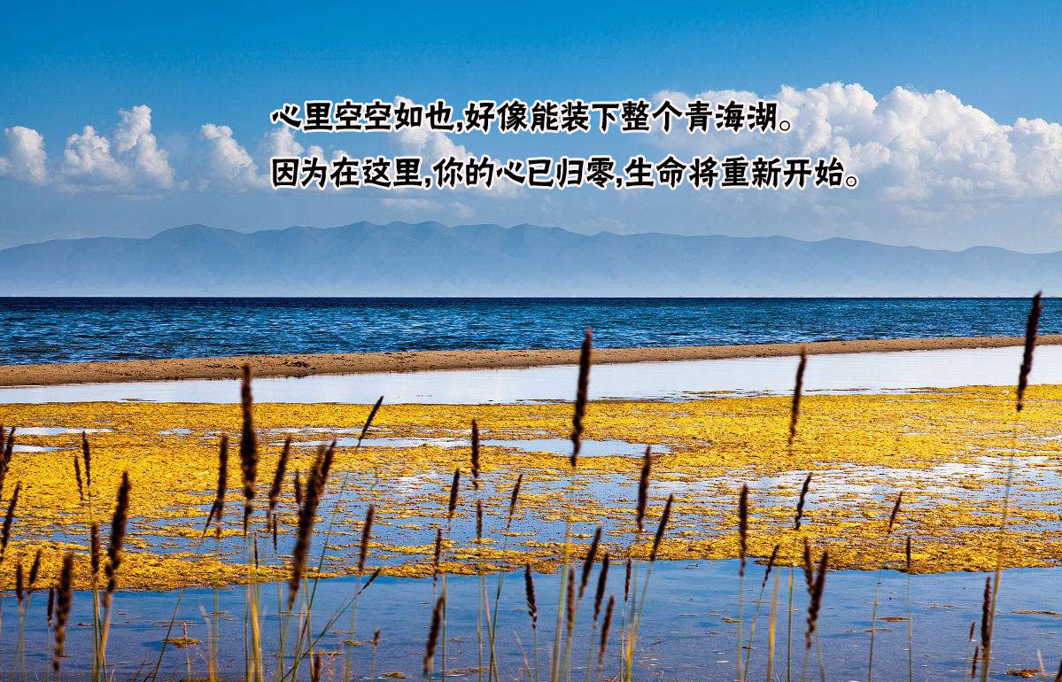 旅行团建青海湖骑行体验路线(图3) 旅行团建青海湖骑行体验路线(图3)